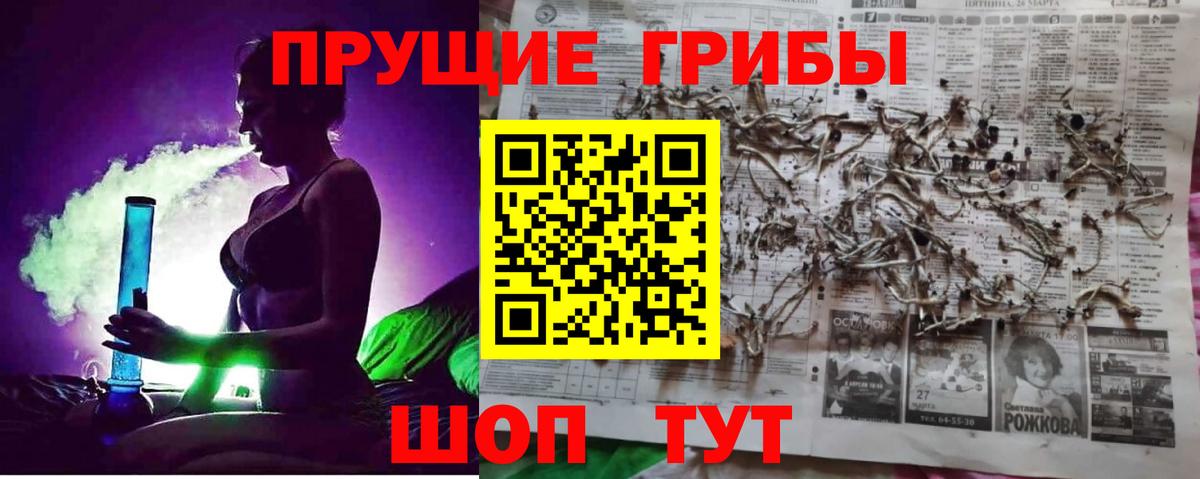 Псилоцибиновые грибы Psilocybe  Вход с VPN  закладки  Луховицы 